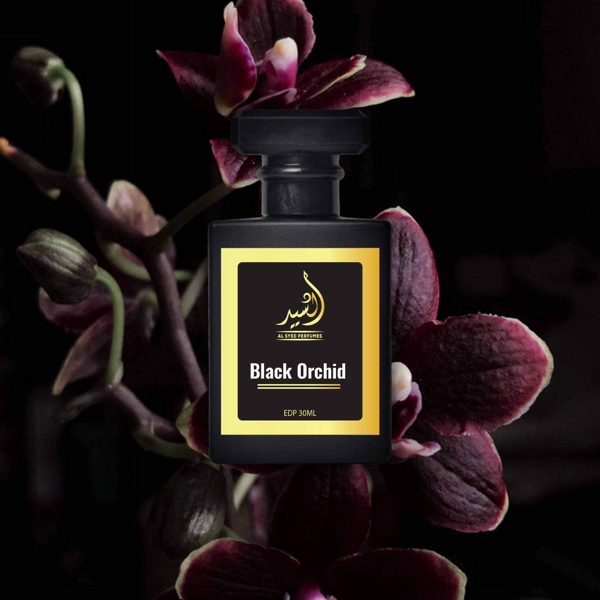 Black Orchid