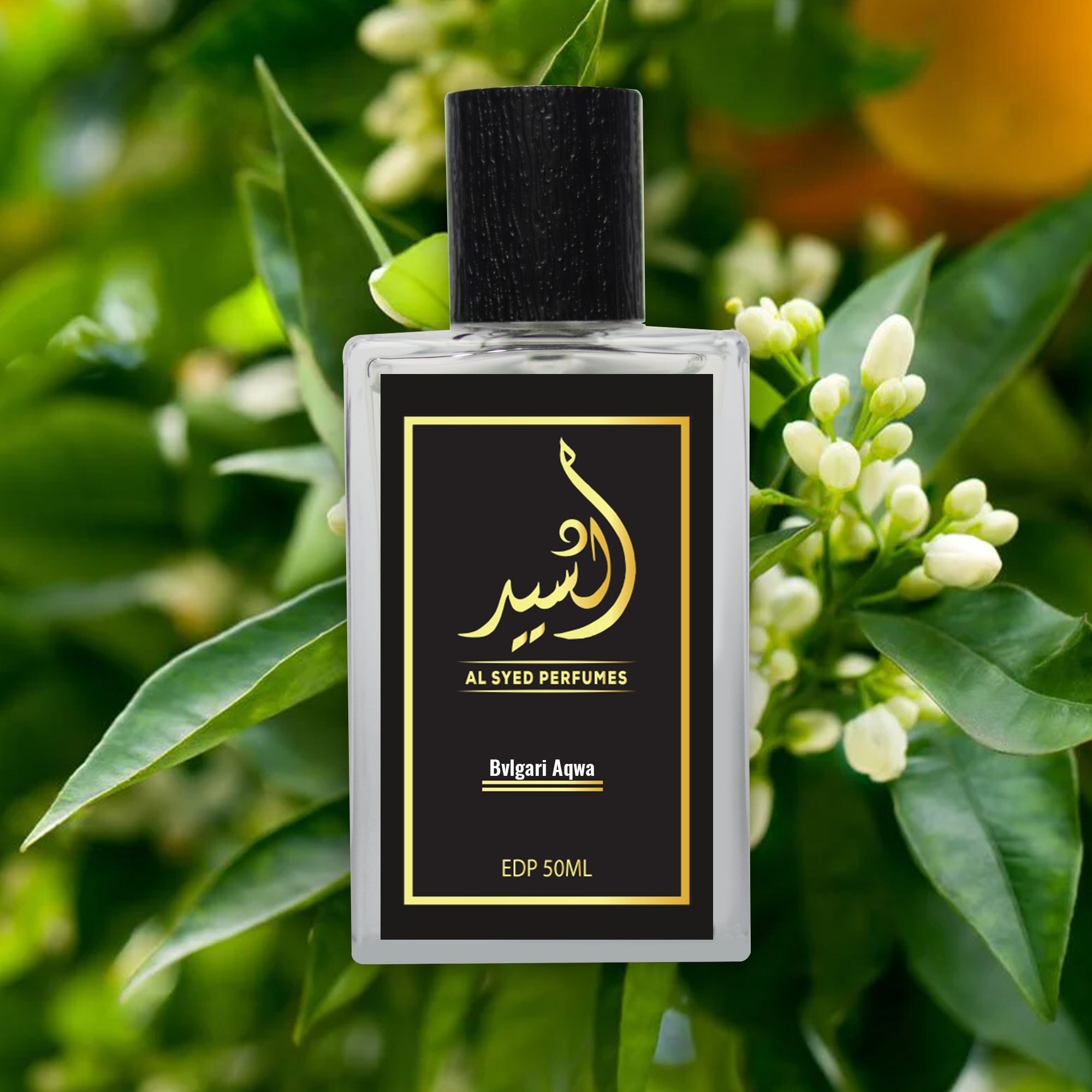 Bvlgari Aqwa